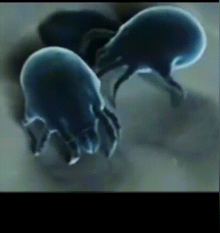 1713944554265766.gif